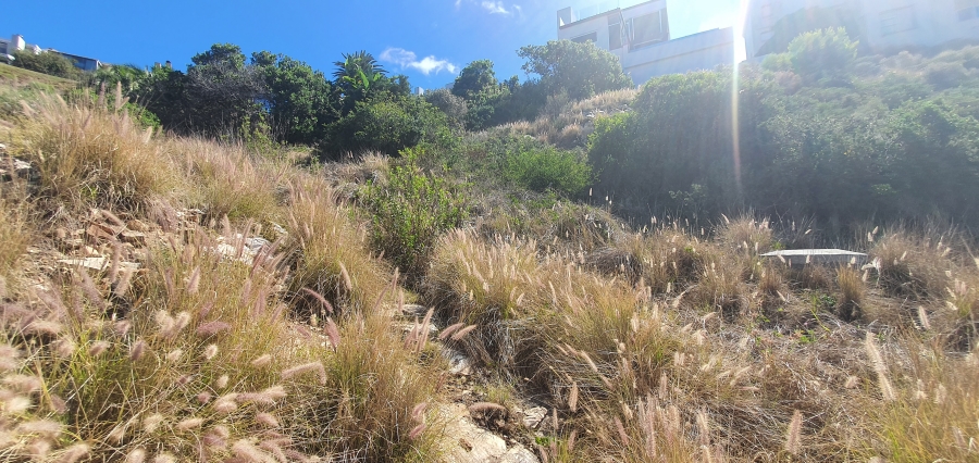 0 Bedroom Property for Sale in Linkside Western Cape